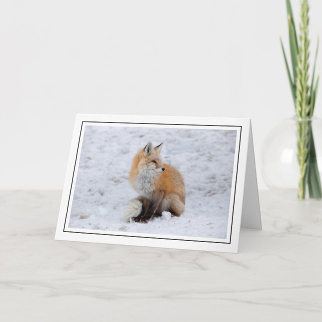 Cascade Fox i Snö Helgkort (Framsida)