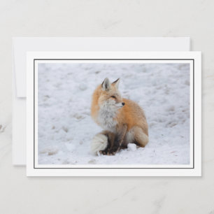Cascade Fox i Snö Julkort