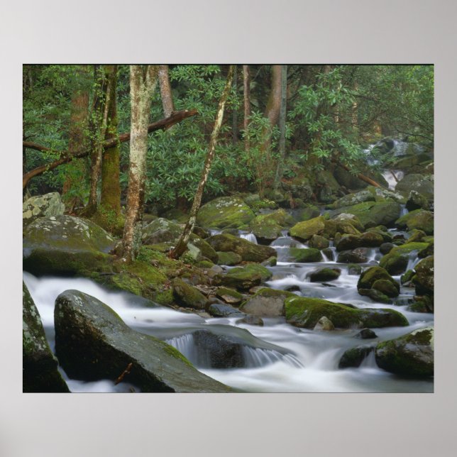 Cascade i Cosby Poster (Framsidan)