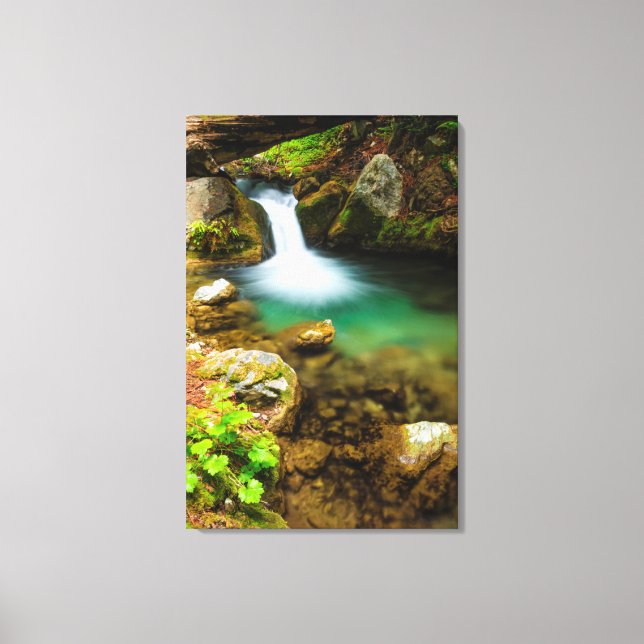 Cascade på Hare Bäck, Kalifornien Canvastryck (Framsida)
