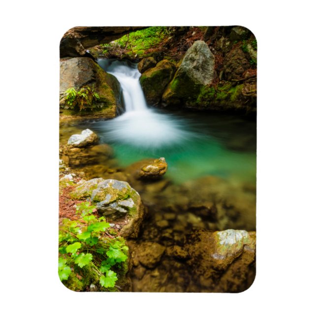 Cascade på Hare Bäck, Kalifornien Magnet (Vertikal)