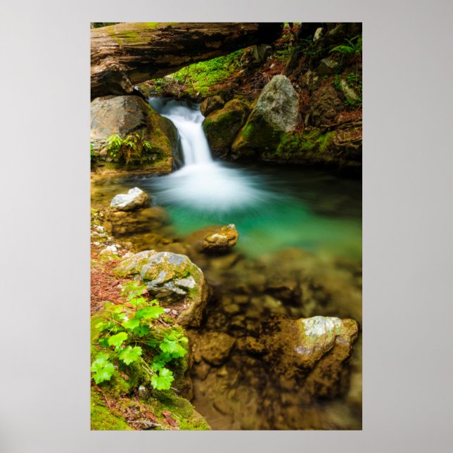 Cascade på Hare Bäck, Kalifornien Poster (Framsidan)