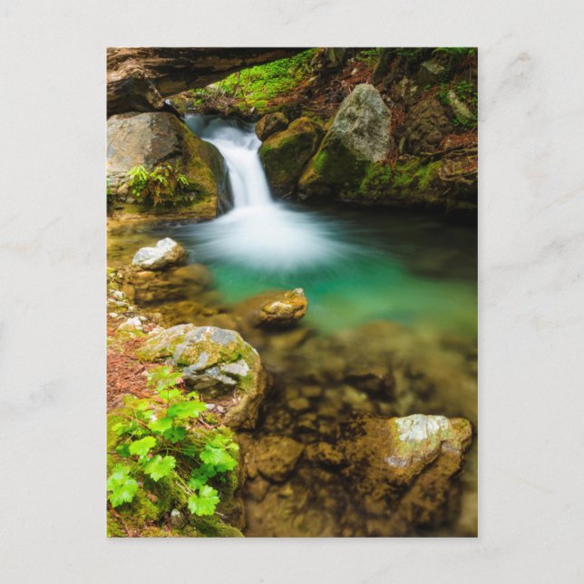 Cascade på Hare Bäck, Kalifornien Vykort (Framsida)