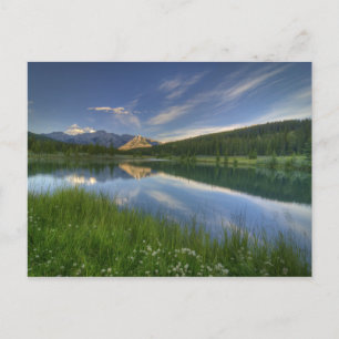 Cascade Ponds Vykort
