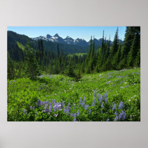 Cascade Range från Mount Rainier National Park Poster