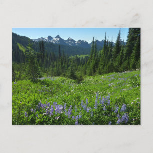 Cascade Range från Mount Rainier National Park Vykort