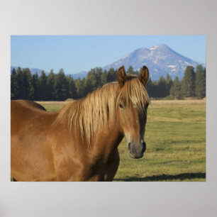 Cascade Range   Kastanjort Poster