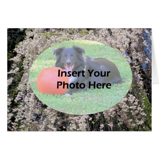 Cascade Vår i Blommar Fotokort Hälsningskort (Framsidan Horizontal)