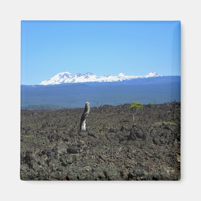 Cascades och Lava Sten, Oregon Magnet (Framsidan)