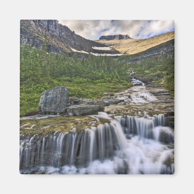 Cascading stream, Glacier National Park Magnet (Framsidan)