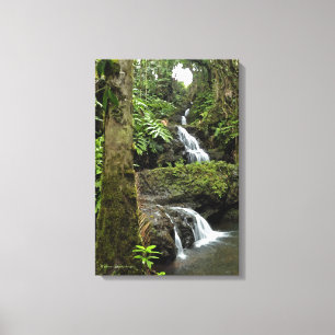 "CASCADING WATERFALL IN HAWAIIAN TROPICAL GARDEN" CANVASTRYCK