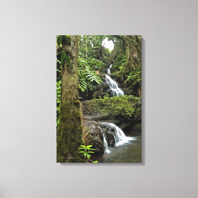 "CASCADING WATERFALL IN HAWAIIAN TROPICAL GARDEN" CANVASTRYCK (Framsida)