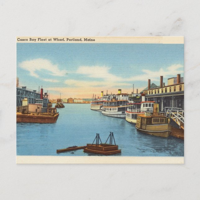 Casco Bay Fleet, Wharf, Portland, Maine Vykort (Framsida)