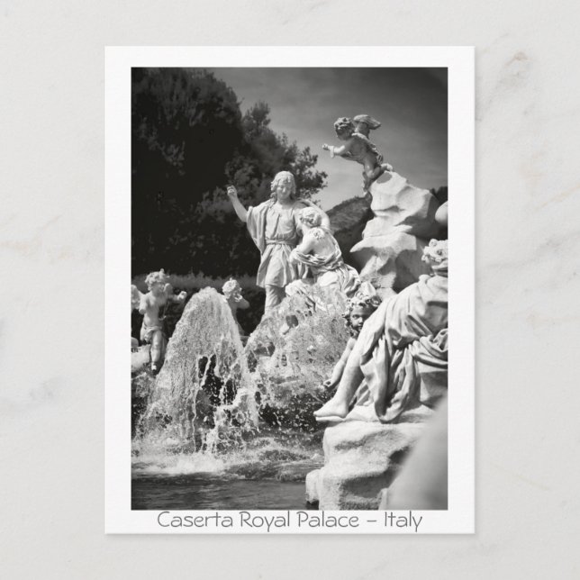 Caserta Royal Palace Vykort (Framsida)