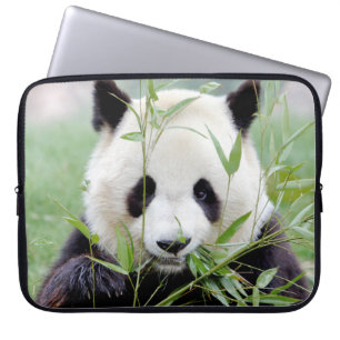 Caseser till den bärbara datorn, fotopaj, panda . laptop fodral