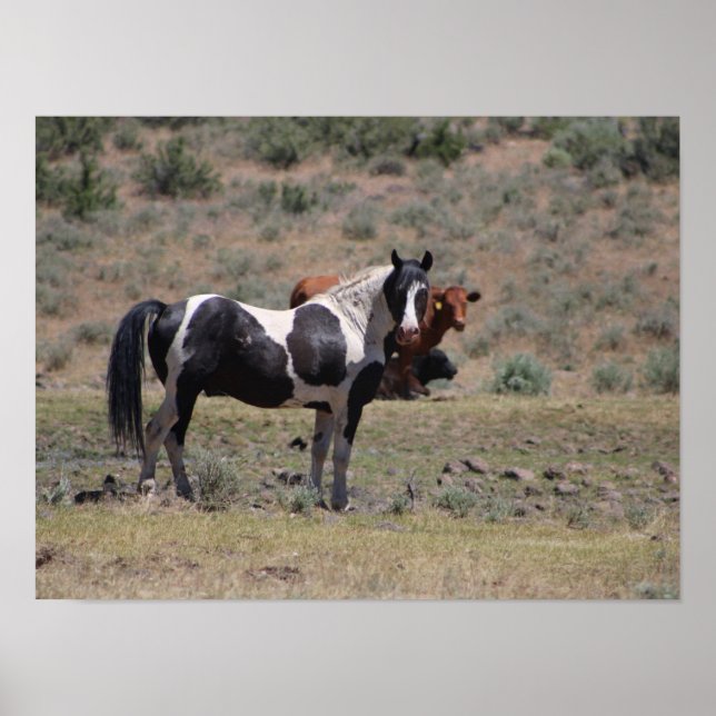 Casino Poster (Framsidan)