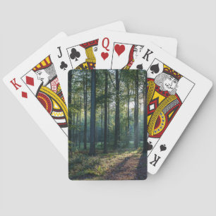 CASINOKORT