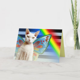 Casper Rainbow fairy | Devon Rex Kat Birthday Card Kort
