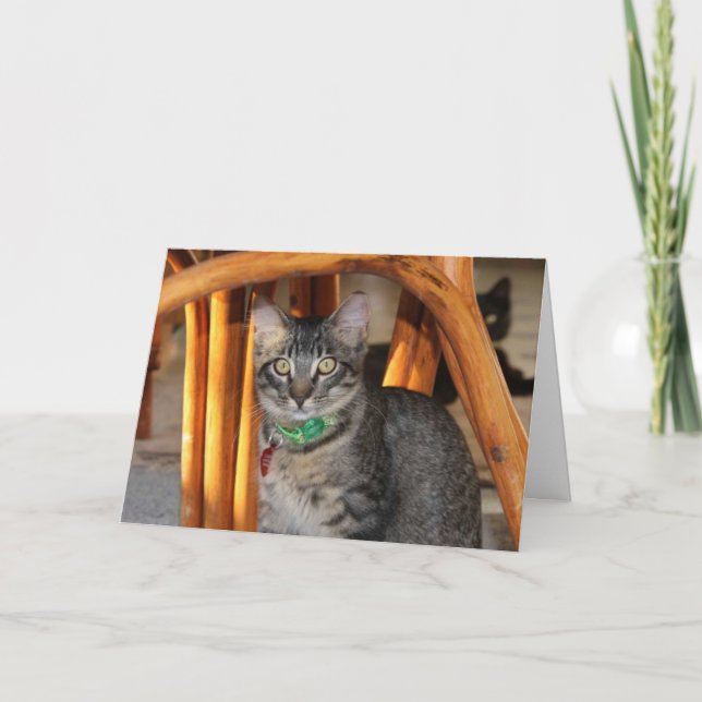 Caspian Adsible Cat-årsjubileum Card Kort (Framsida)