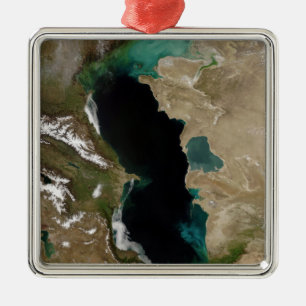 Caspian hav julgransprydnad metall