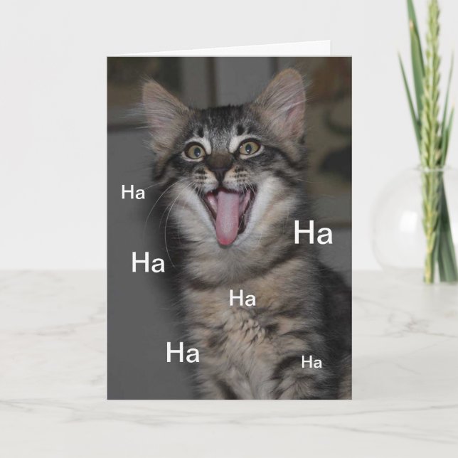 Caspian Kitten Hospital, kom snart kort (Framsida)