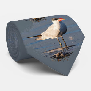 Caspian Tern vid stranden Slips