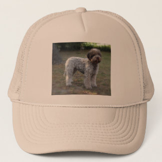 casquette lagotto-romagnolo keps
