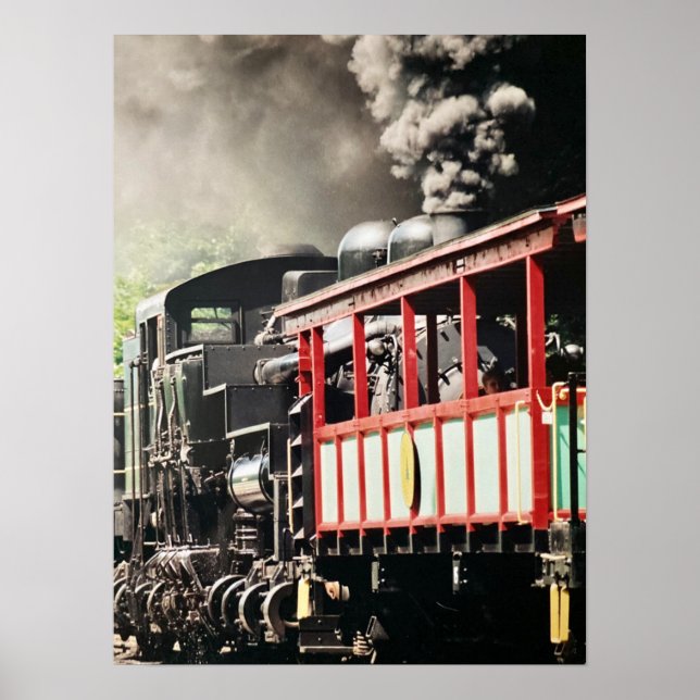 "Cass Scenia Railroad" - Fotografi Poster (Framsidan)