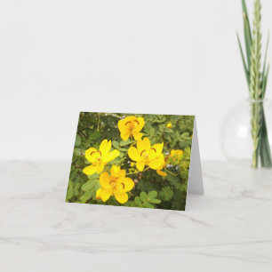Cassia Flower Photo Folant Note Card Anteckningskort