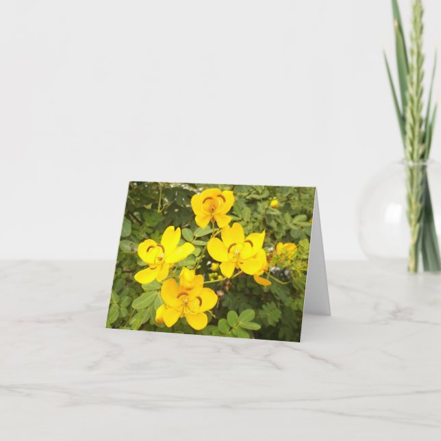 Cassia Flower Photo Folant Note Card Anteckningskort (Framsida)