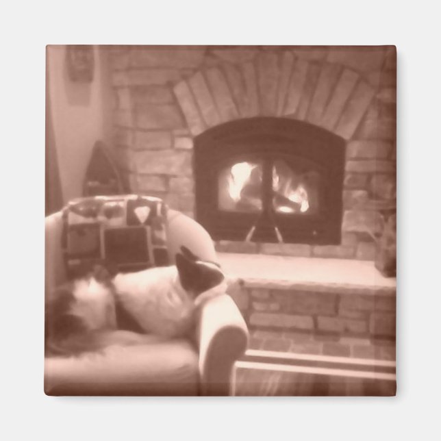 Cassie Magnet (Framsidan)