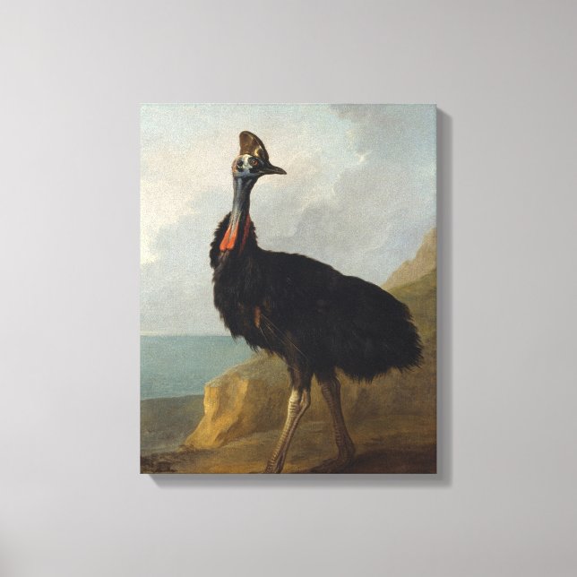 Cassowary (Australian Bird) (Vild Animal Art) Canvastryck (Framsida)