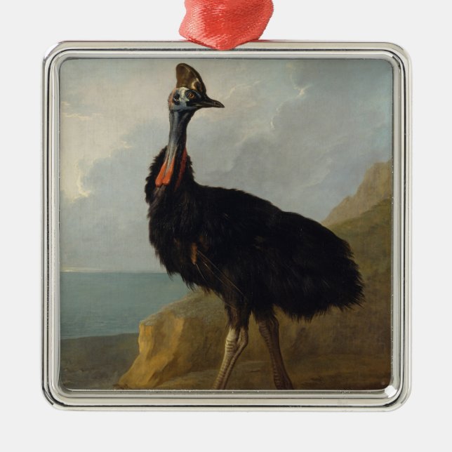 Cassowary (Australian Bird) (Vild Animal Art) Julgransprydnad Metall (Framsidan)