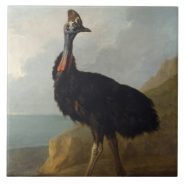 Cassowary (Australian Bird) (Vild Animal Art) Kakelplatta
