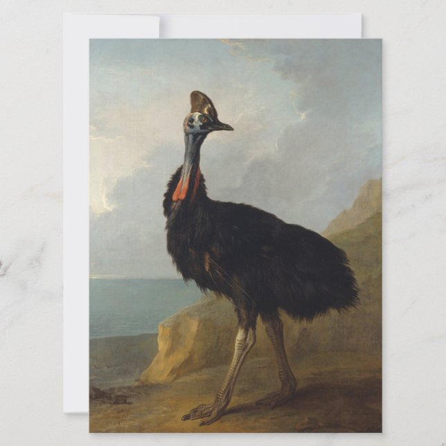 Cassowary (Australian Bird) (Vild Animal Art) Kort (Framsida)