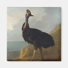 Cassowary (Australian Bird) (Vild Animal Art) Magnet