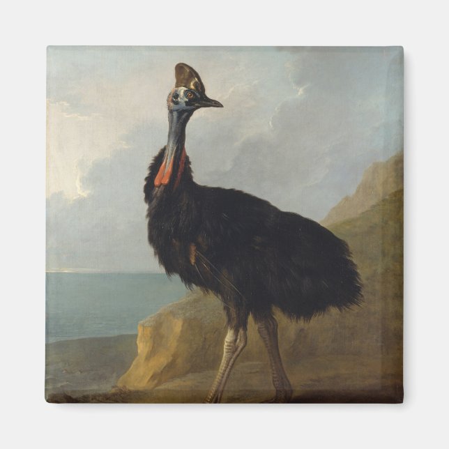 Cassowary (Australian Bird) (Vild Animal Art) Magnet (Framsidan)