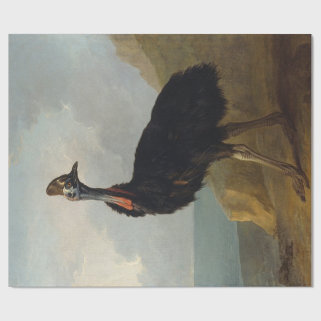 Cassowary (Australian Bird) (Vild Animal Art) Presentpapper (Platt)