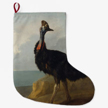 Cassowary (Australian Bird) (Vild Animal Art)