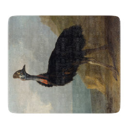 Cassowary (Australian Bird) (Wild Animal Art)