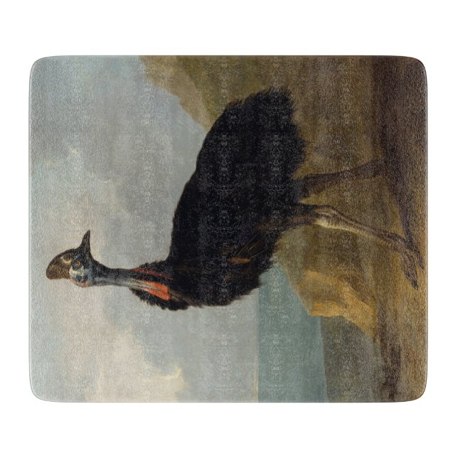 Cassowary (Australian Bird) (Wild Animal Art) (Framsidan)