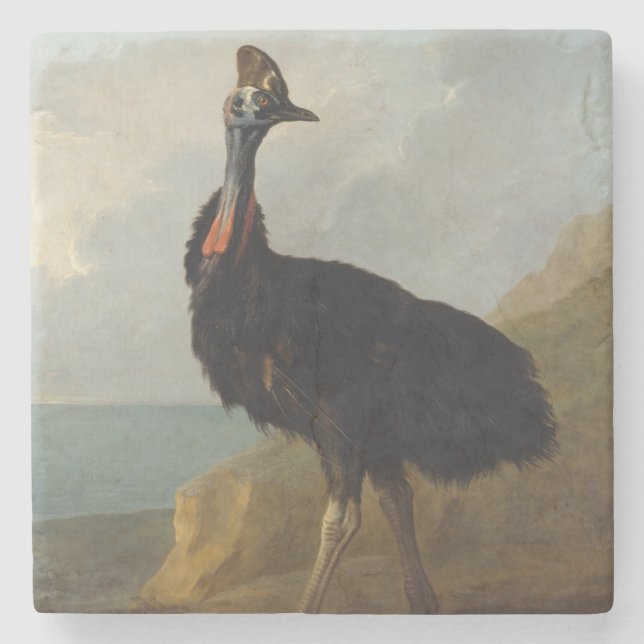 Cassowary (Australian Bird) (Wild Animal Art) Stenunderlägg (Framsidan)