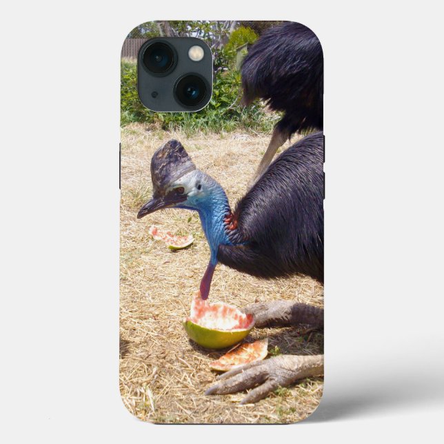 Cassowary Bird Eating Melons, iPhone 13 Fodral (Baksida)