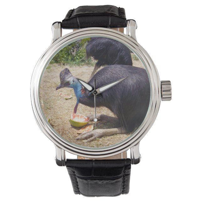 Cassowary Bird Enjoying Melons Armbandsur (Framsida)