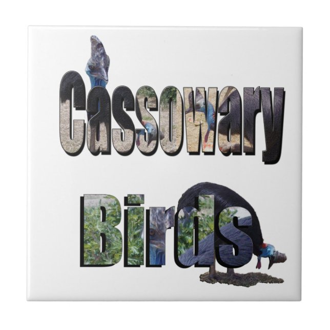 Cassowary Birds Är Namnet, Kakelplatta (Framsidan)