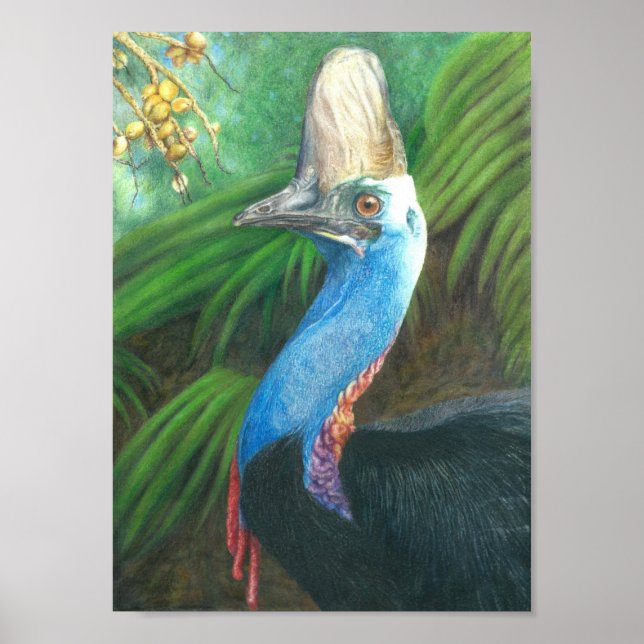 Cassowary Hand Pasigned Original Art Poster. Poster (Framsidan)