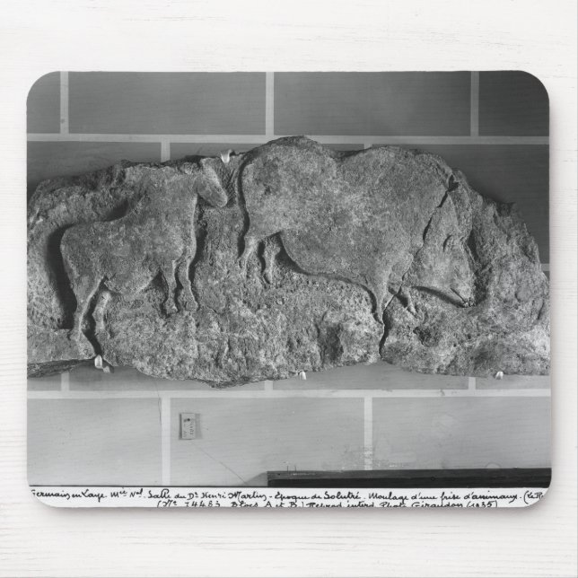 Cast av en fris av djur från Le Roc de Sers Musmatta (Framsidan)