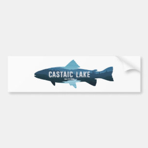 Castaic Lake Kalifornien Fisk Bildekal