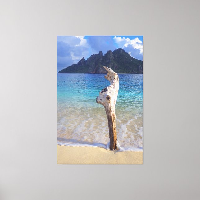 CASTAWAY WOOD 40x60 Canvastryck (Framsida)