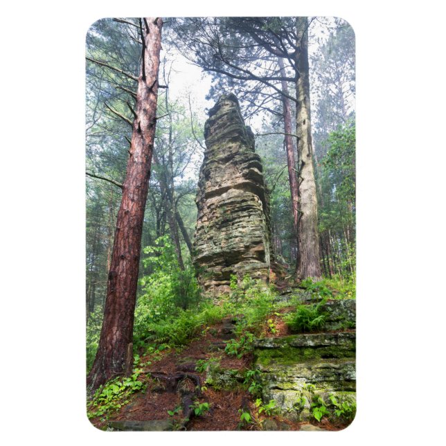 Castellated Mound in State Forest Magnet (Vertikal)